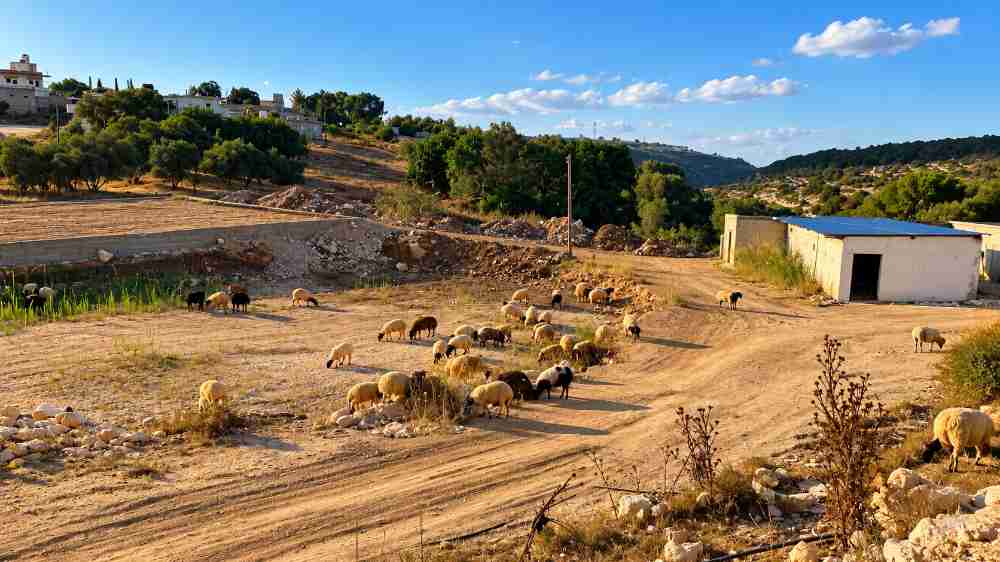 Land for Sale | 1,860 m² | Ring Road